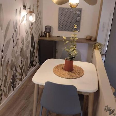 Les Salenques Daire Toulouse Dış mekan fotoğraf