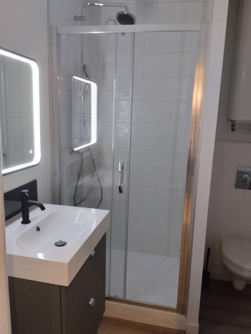 Les Salenques Daire Toulouse Dış mekan fotoğraf
